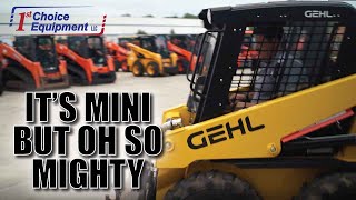 Gehl R105  Mini But Mighty
