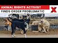 Stray Dog Case | Animal Rights Activist Finds the Order Problematic | News X