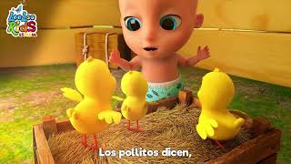 Los Pollitos Dicen Pío Pío  Vaca Lola  Canciones Infantiles  Bebés  Divertidas