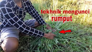 Cara pegang Rumput Agar Tidak Jatuh  Ngarit