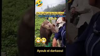 #aljazeeralivenews #fifaworldcup #choftv #2026election #kids #2m #mdjs #kora #rial #maroc_akhbar