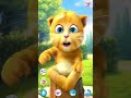 Talking Ginger