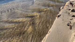 Antidunes (with wave breaking) - Hornbรฆk, Denmark
