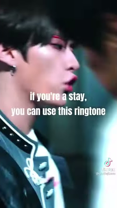 Stray kids Backdoor ringtone for Stays