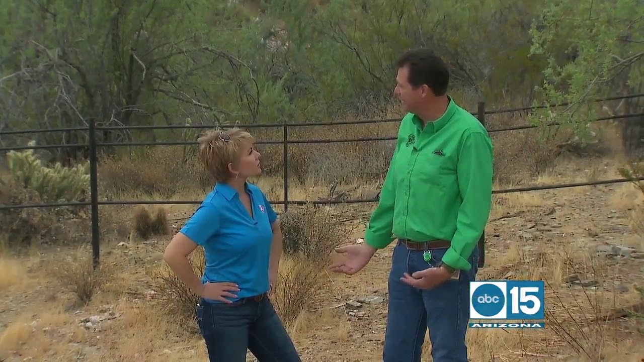 Arizona Game And Fish Department Are Asking For Help In Getting Water arizona-game-and-fish-department-are-asking-for-help-in-getting-water