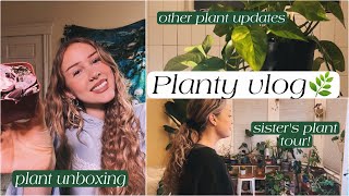 A week of plant stuff: plant unboxing, plant tour, growth updates and more!