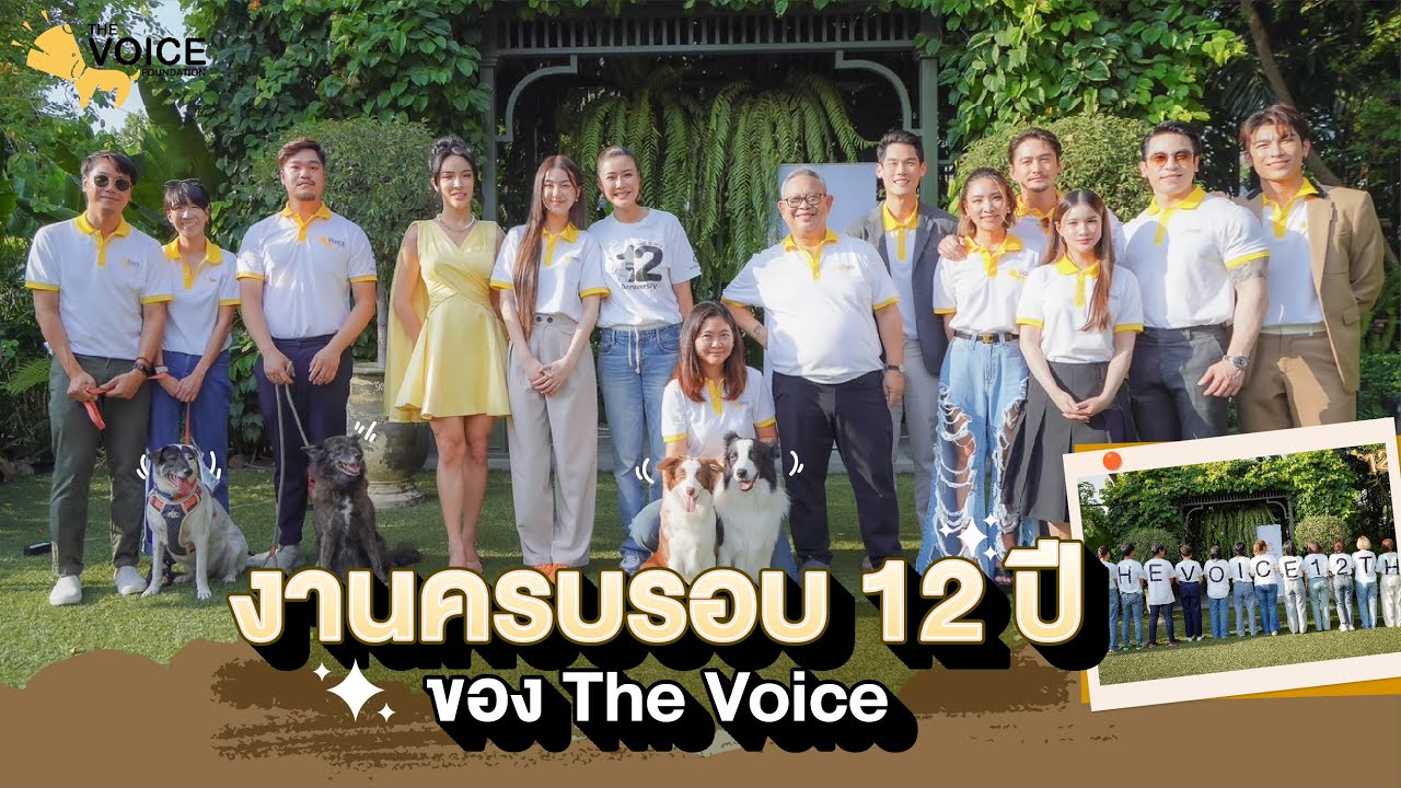 12-the-voice-foundation-friends-of-the-voice
