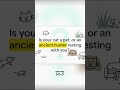 Your Cat's Midnight Zoomies: Ancient Hunter in Modern World #shorts