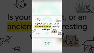 Your Cat's Midnight Zoomies: Ancient Hunter in Modern World #shorts