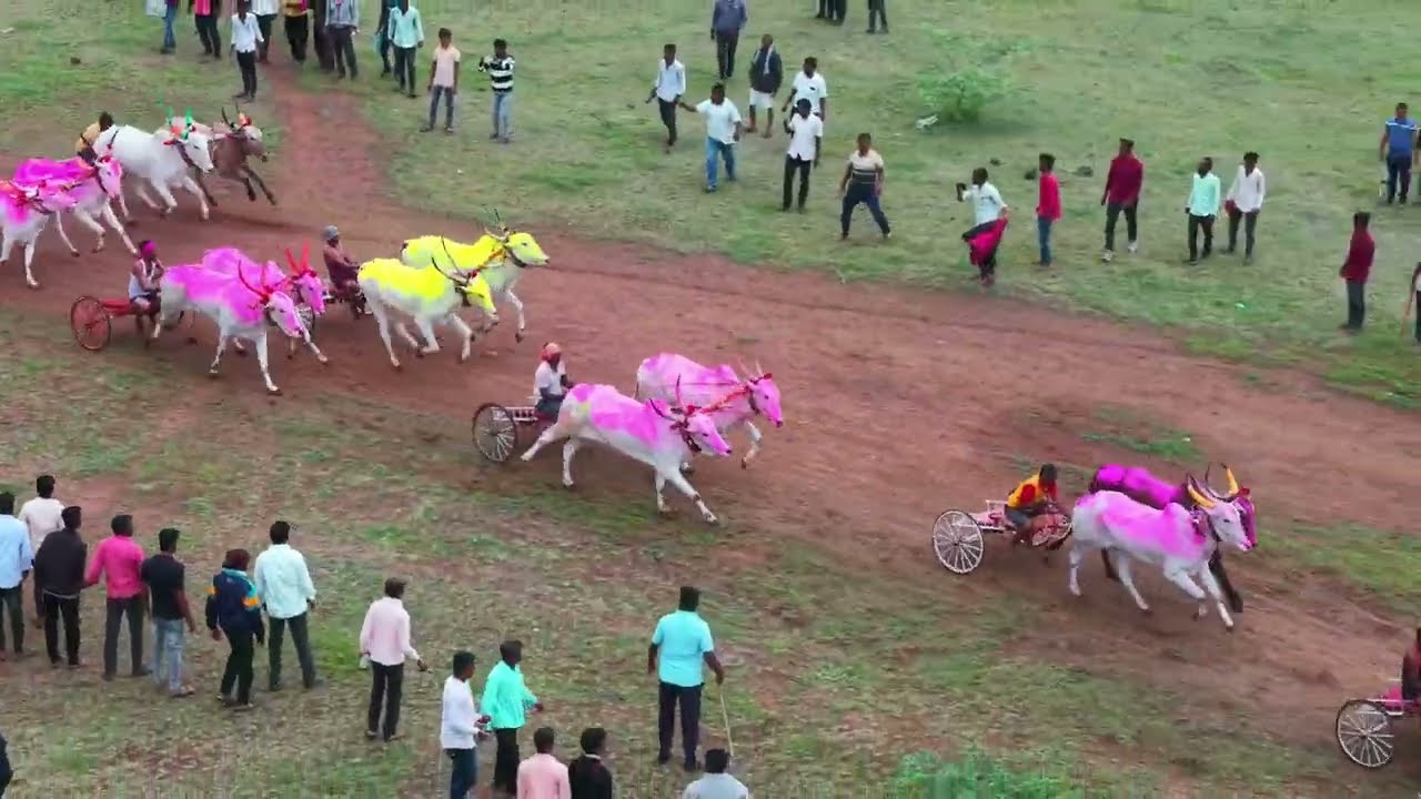 लिंगनूर मैदान मंगसुळी पट्टा जनरल बैलगाडी शर्यत बक्षीस 1 लाख रुपये 