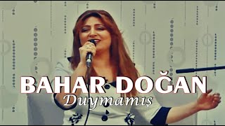 Bahar Doğan - Duymamış Resimi