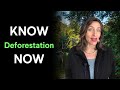 Know It Now:  Why Deforestation of the Amazon Matters