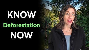 Know It Now:  Why Deforestation of the Amazon Matters
