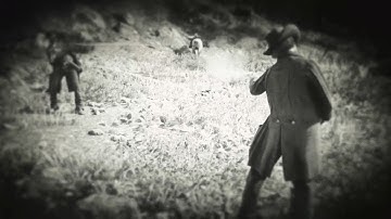 Red Dead Redemption 2 - We