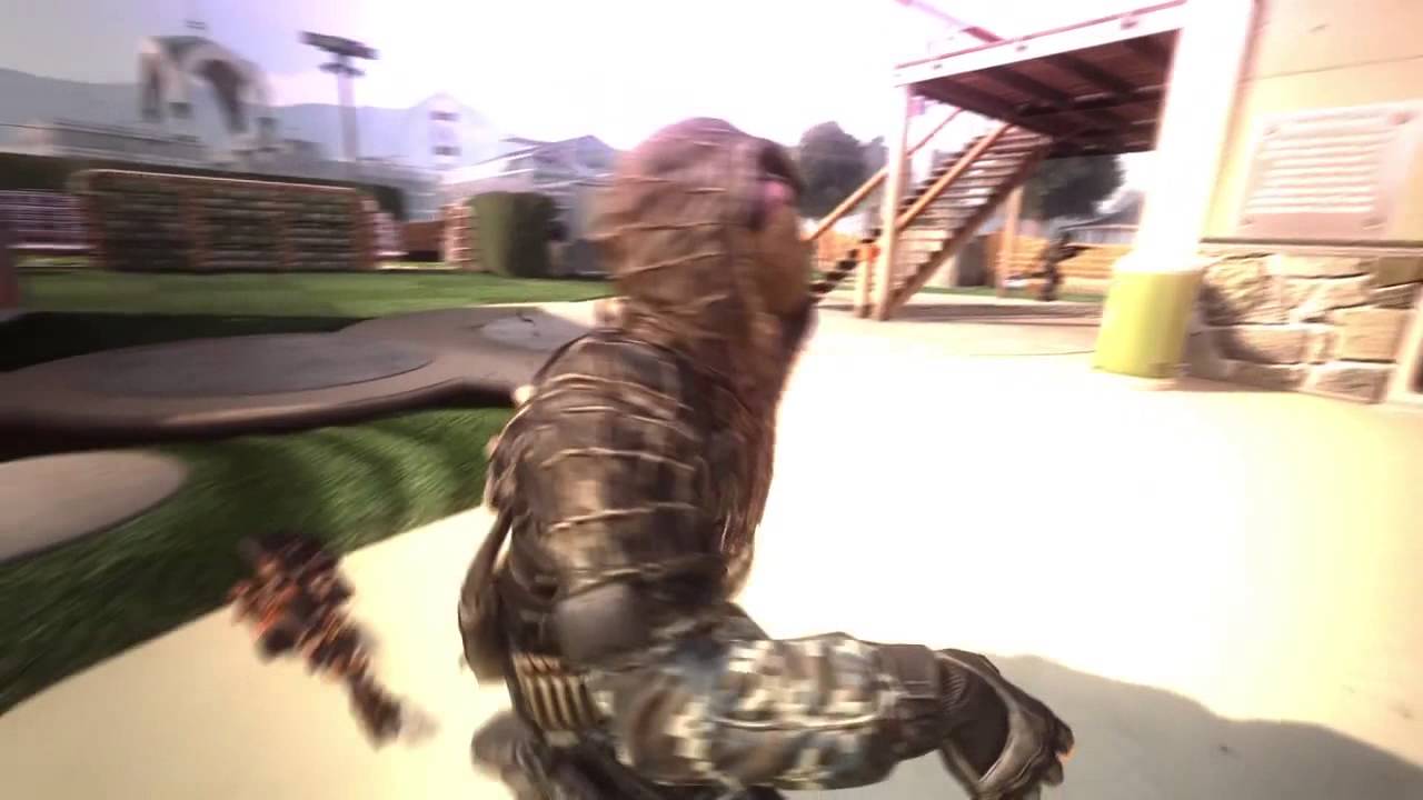 Birds Eye By Duelcore