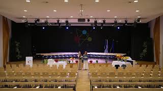 Ahto Palmre Live Stream