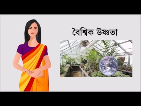 ভিডিও: বৈশ্বিক উষ্ণতা কী