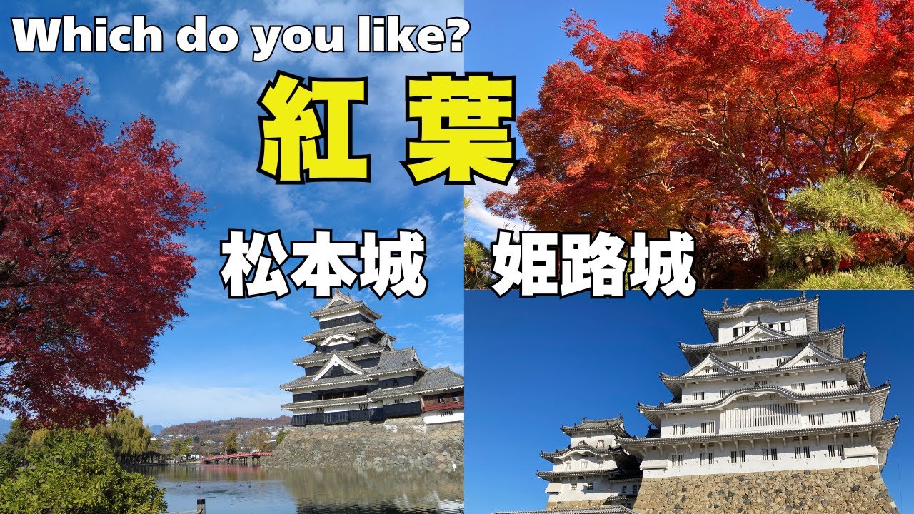 【紅葉とお城】松本城と姫路城そして紅葉です