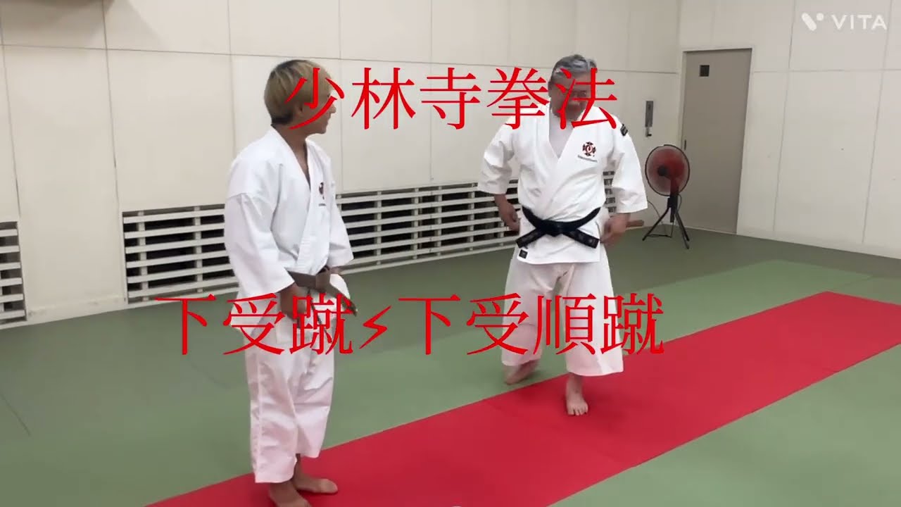 Shorinji　Kempo　   下受蹴・下受順蹴　Shitaukekeri /Shitaukejyunkeri  5級科目  少林寺拳法