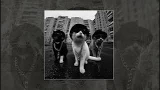 Это Радио - На мурмулях (Официальная премьера трека)