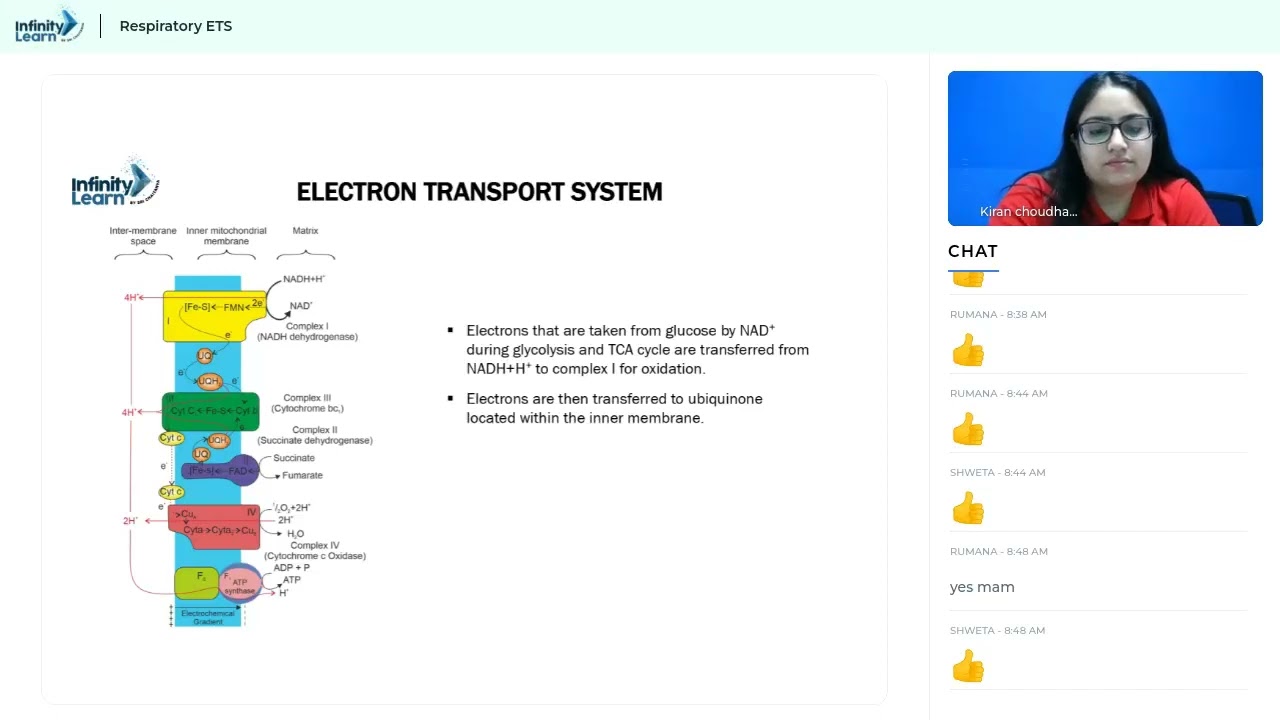 Infinity Learn RESPIRATORY ETS CLASS 11 NEET