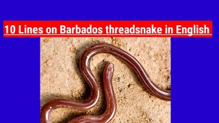 10 Lines On Barbados Threadsnake In English Short Essay On Barbados Snake