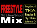 Old & New School Freestyle Mix - (DJ Paul S)