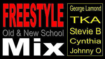 Old & New School Freestyle Mix - (DJ Paul S)