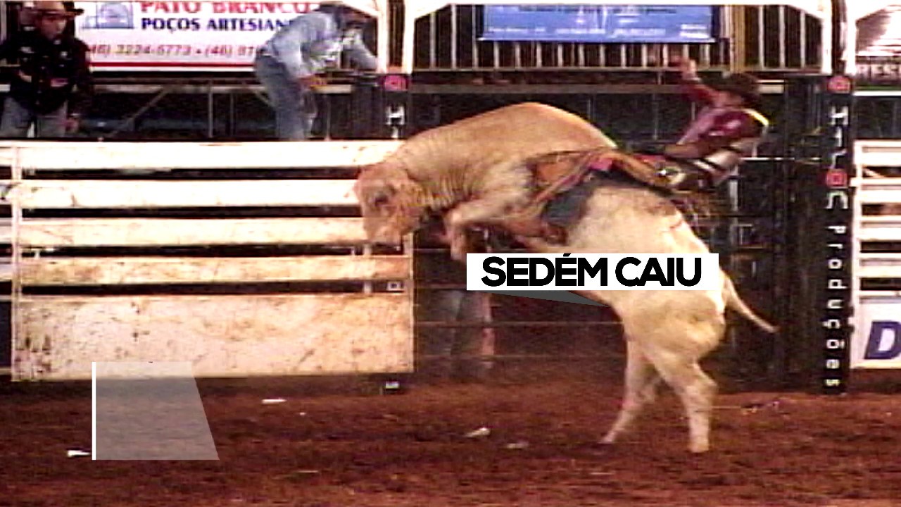 sertanejo na veia. — Sabe por que os touros e cavalos de rodeio são tão