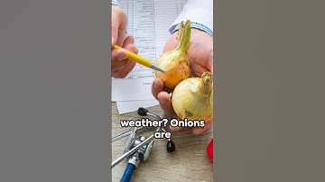 Discover the Surprising Benefits of Onions #onions #lowerbloodsugar #healingpower
