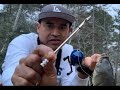 Pesca de carpa con dardo ( y cocina)