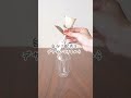 SNSでも話題!〇〇のお花はプレゼントにもおすすめ♡