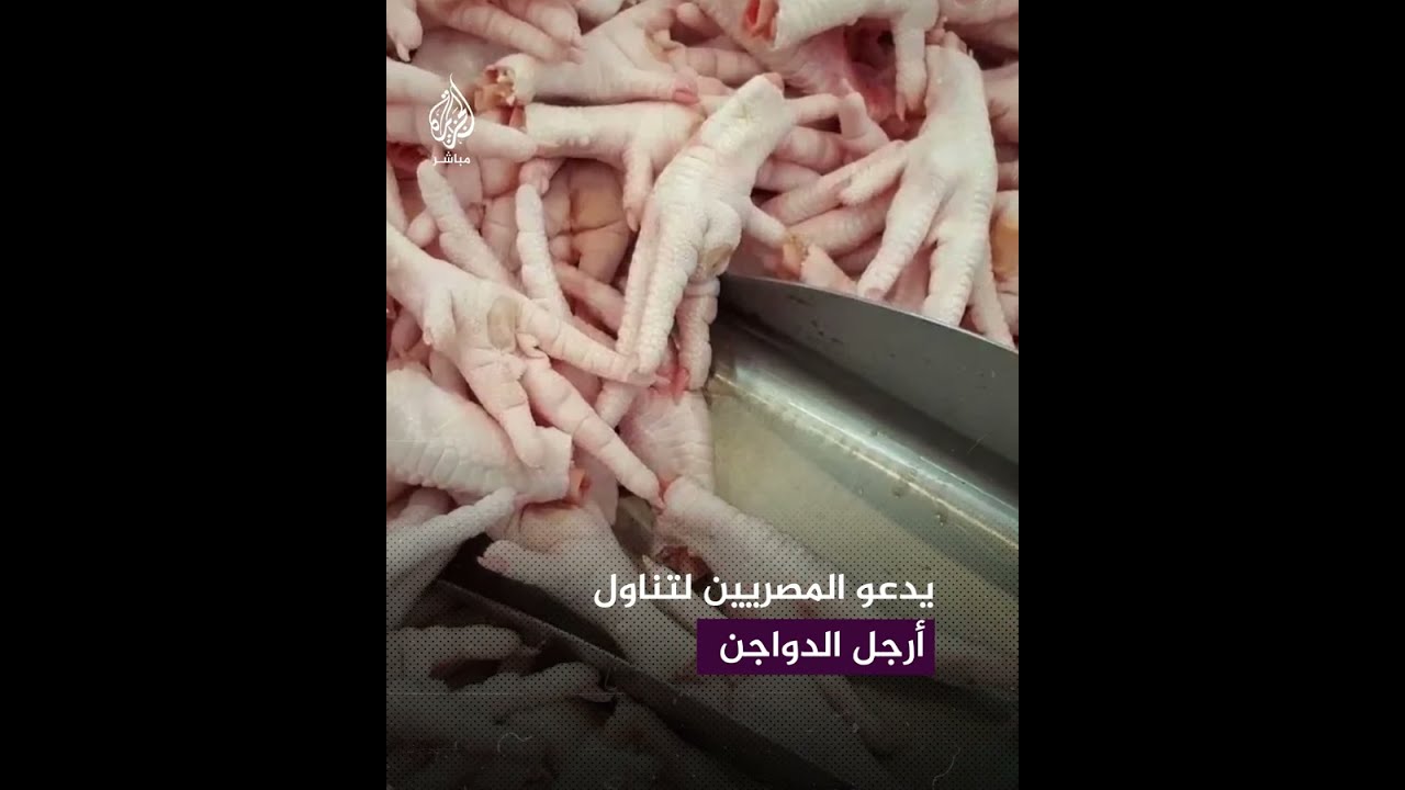 "أرجل الدجاج" تثير جدلا في #مصر