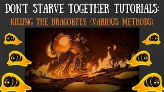 Don't Starve Together Guide: Killing The Dragonfly (Various Methods)