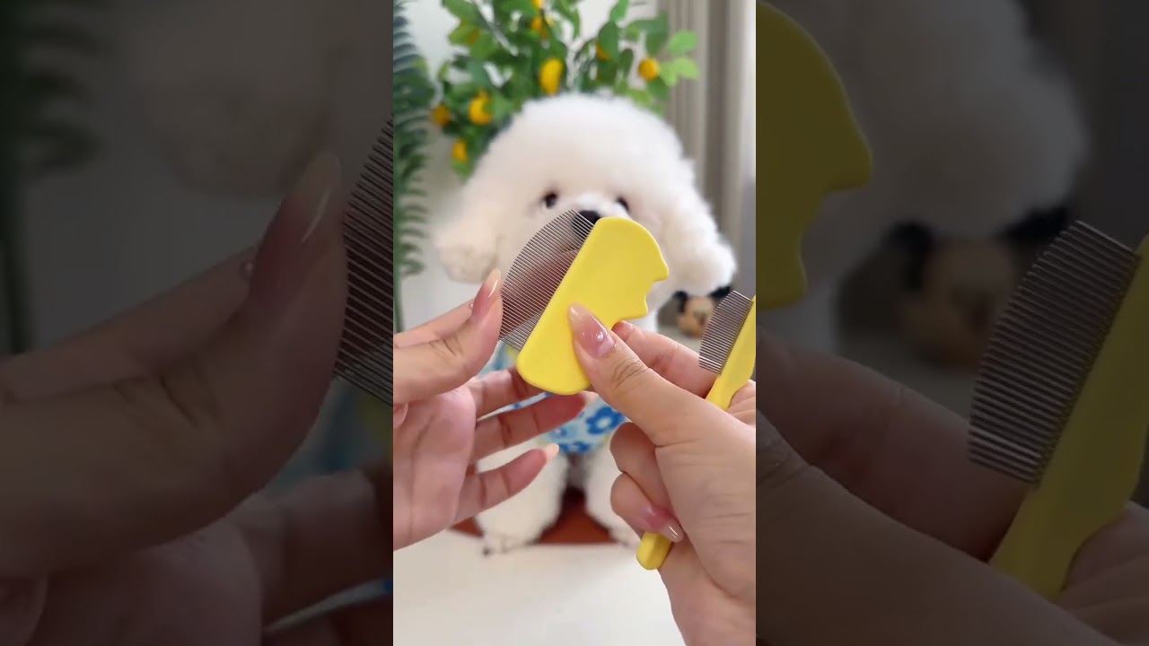 Best Grooming Hack for White Dogs! 🐶✨ #DogGrooming #PetCare