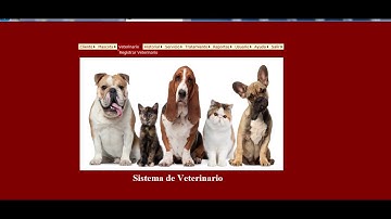 SISTEMA DE VETERINARIA VISUAL STUDIO C#