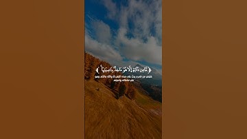 {إِنِّي تَوَكَّلْتُ عَلَى اللَّهِ رَبِّي وَرَبِّكُم ۚ } [هود : 56]القارئ مشاري فالح