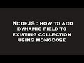 Add Dynamic Fields to Mongoose Collection in Node.js