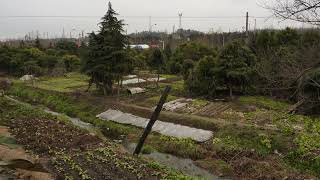 Sustainable living | Wikipedia audio article