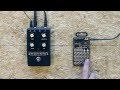 Teenage Engineering PO-12 + Moog Minifooger Analog Effects
