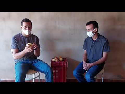 Vídeo colheita e armazenamento da cebola