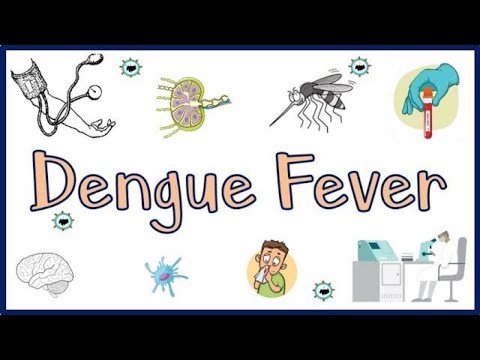 Video: Epidemiologi Av Dengue I Et Høyinntektsland: En Casestudie I Queensland, Australia