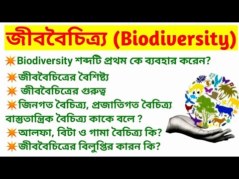 ভিডিও: বলগোভা এলভিরা আলেক্সেভনা: জীবনী, কেরিয়ার, ব্যক্তিগত জীবন