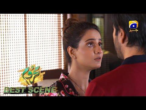 Mehroom Episode 14 