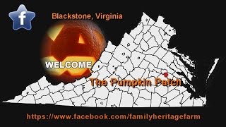 Pumpkin Picking Fun at Family Heritage Farm 2014 - Blackstone, Virginia
