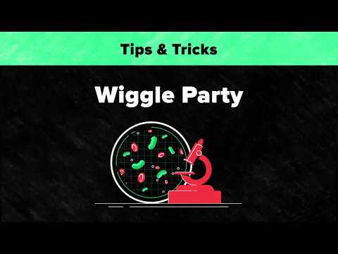 After Effects Tips & Tricks - Wiggle Transform