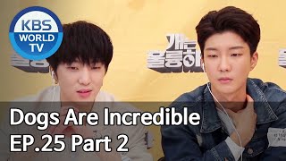 Dogs are incredible | 개는 훌륭하다 EP.25 Part 2 [SUB : ENG/2020.05.13]