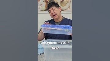 Snake Shedding Problems Solved!!