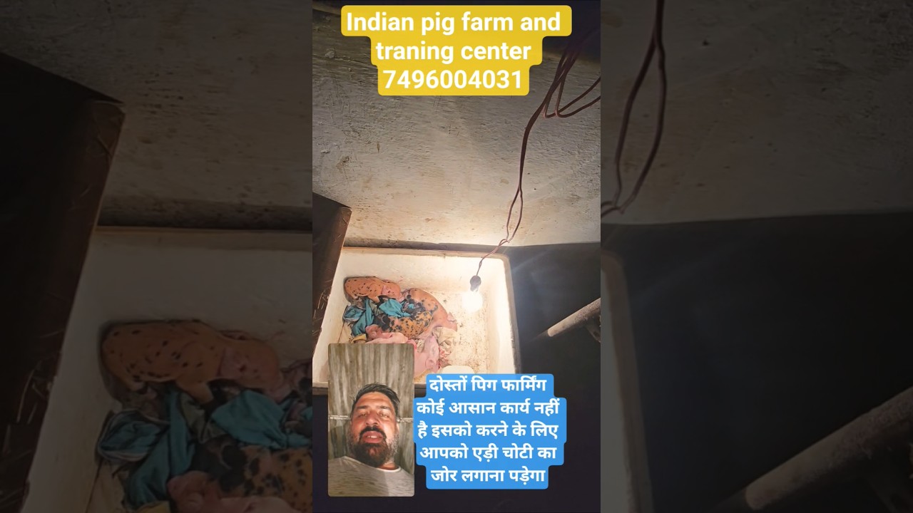 pre mature delivery ko kaise sambhale# safe delivery process 