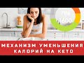 Дефицит калорий на кето. Как это работает?